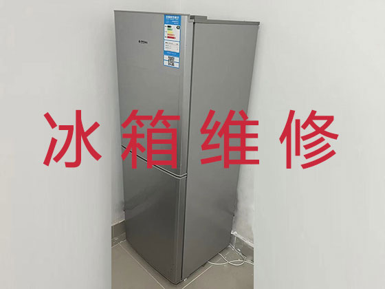 六安专业电冰箱安装